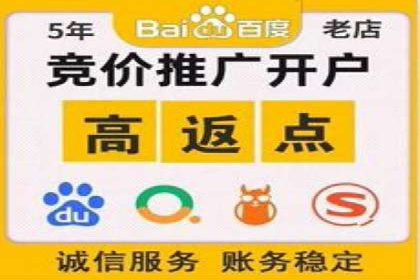 百度竞价推广代运营成功案例深度剖析